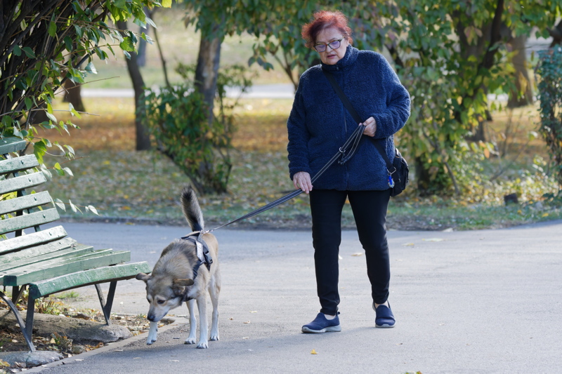 A woman walking a mixed-breed dog on a leash along a paved park path